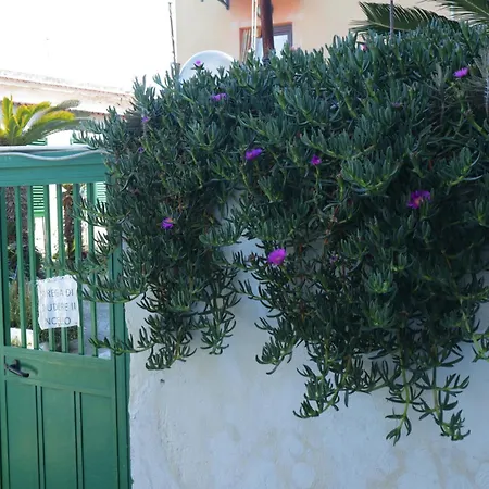 Casa Maria - Centro Storico Apartment Procida